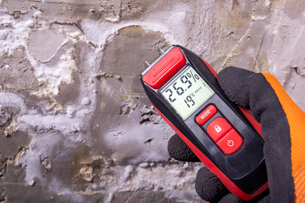 Best Professional Mold Removal  in Lapwai, ID