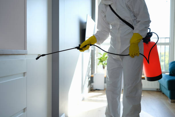Best Toxic Mold Removal  in Lapwai, ID