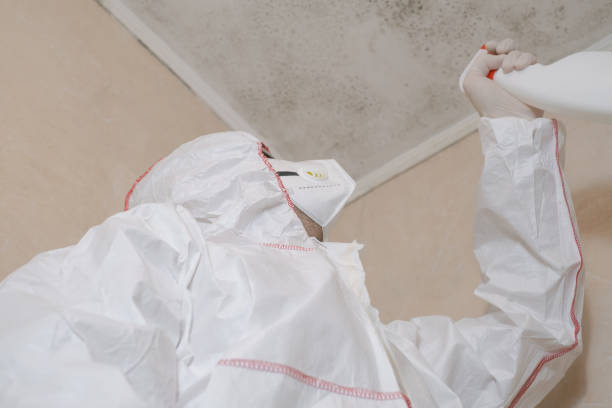 Best Mold Remediation  in Lapwai, ID