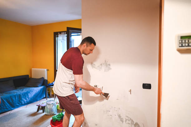 Best Crawl Space Mold Removal  in Lapwai, ID